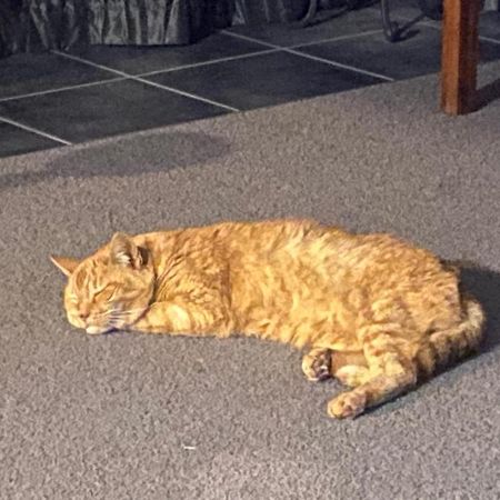 Methven Retreatアパートメント エクステリア 写真